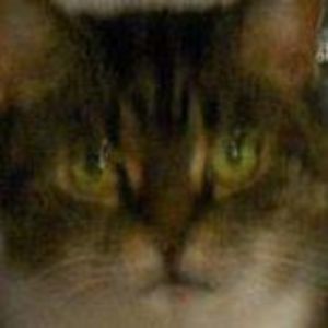 Meet your Posher, Tammy